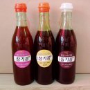 쌍둥이네고추