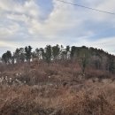 들레목장2 이미지