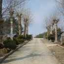 가좌초등학교 이미지