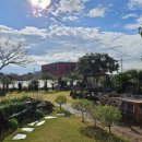 제주 안덕농업협동조합사계지점 이미지