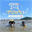 오이도 어촌체험마을 2체험장 갯벌체험 후기(준비물, 이용요금, 주차, 물때 등)