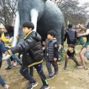 상승도장 이미지