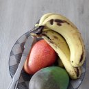 만국자동차정비 | 대만견문록 5일차_먀오리에서 주베이, 신주를 거쳐 타이베이까지