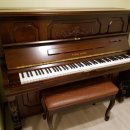 라온음악교습소 이미지