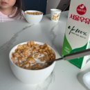 도도라미협동조합 | 고성 보니블루 펜션 후기 | 5살 아이 + 보더콜리랑 다녀온 여름휴가지 추천