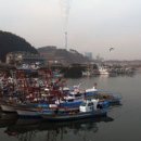 동백정 이미지