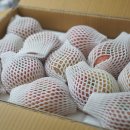 한울농장 2 이미지