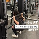 명휘트니스 | 도곡동 PT 휴메이크휘트니스 역삼점하체 라인 제대로 잡는 여자 하체 운동 후기