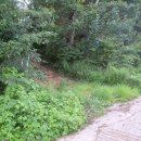 신애정신병원 이미지