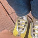 160 | 햇살이 신발까지 결국 구매😂 푸마 에이치스트릿 베이비 160 후기