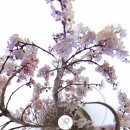 목공방솥비 이미지