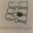 신기시장 사거리 이미지