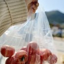 애플망고fruitshop