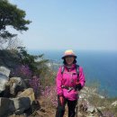 정동진새꼬시 이미지