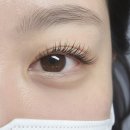보탬전기 | 부천 보탬 속눈썹 후기