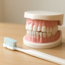 수려한의원 | 치아 건강 관리 팁 무실동치과 방문 후기