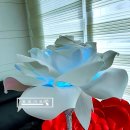 꽃빛플라워 - 김제시 화동길 15 | 꽃빛플라워