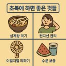 삼복이네 수제간식 | 김팀장의 초복 꿀팁 정리
