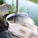 한일낚시터 이미지