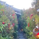 첨성로1(남) 이미지