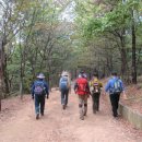 솔향기 쉼터 이미지