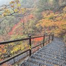 한계령~장수대 단풍~ 몽유도원도에서 사고났나보네요 이미지