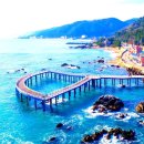 삼사 바다산책로 네이버블로그
