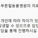 푸른힐동물병원 이미지