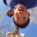 유아이케이 | 아이랑 오키나와 가족여행 3대 여행 일정