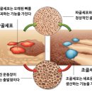 Wemedi PT Studio 네이버블로그