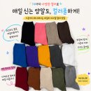 무압박 여자 무지 중목 양말 파스텔 칼라 국산 면 여름 사계절 데일리 캐주얼 양말 이미지