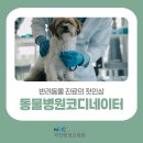수제산업동물병원 | 동물병원 코디네이터 자격증 취득과정 및 취업방향 후기 (국민평생교육원 국민평생학습센터)