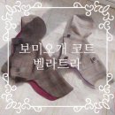 봄이오냥 | 강아지봄옷 강아지 고양이 예쁜옷 봄자켓 - 벨라트라, 봄이오개 코트