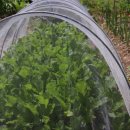 세원농장 이미지