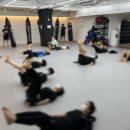 더 복싱 짐'엘' 이미지