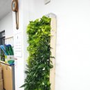 범계동주민센터 이미지