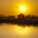 강변살자 이미지