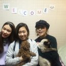 이수정 카카오 검색결과