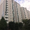 삼보아파트 앞 이미지
