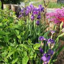 다정이네 이미지