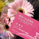 대한문구도매센타 | 월급이 오르는 승진축하화분 선물? 화분 종류와 문구 추천!