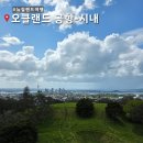 스카이시티투어 | 오클랜드 공항에서 시내 가는 법 / 4인 가족 한인택시 이용 후기