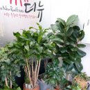 주식회사에이스부동산중개법인 이미지