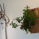 밝음농장 이미지