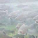 수청횟집 이미지