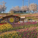 고현제2세천 | 봄의 선물! 대구 세천늪테마정원 벚꽃 튤립 산책 후기