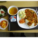 하이식당 Daum카페