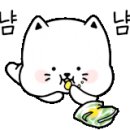 라온온누리약국 - 양천구 신월로 179 | 라온온누리약국