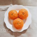 한길농장 | 명절선물추천 &#39;한길올레농장&#39; 달콤한 레드향 후기 :-)♡