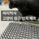 독한고양이 | 고양이퇴치제 추천 파리박사 접근방지 매트로 싱크대 보호 후기